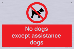 No dogs except assistance dogs
